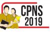 CPNS