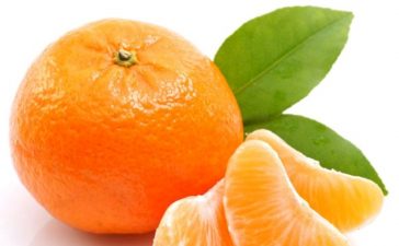 ragam-jenis-jeruk-lokal-yang-penuh-khasiat-jeruk-sambas-jadi-andalan-3ejCADEvU7-1.jpg