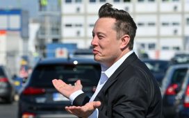 elon musk