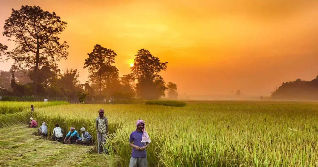 Ilustrasi petani. Dok/The Economic Times