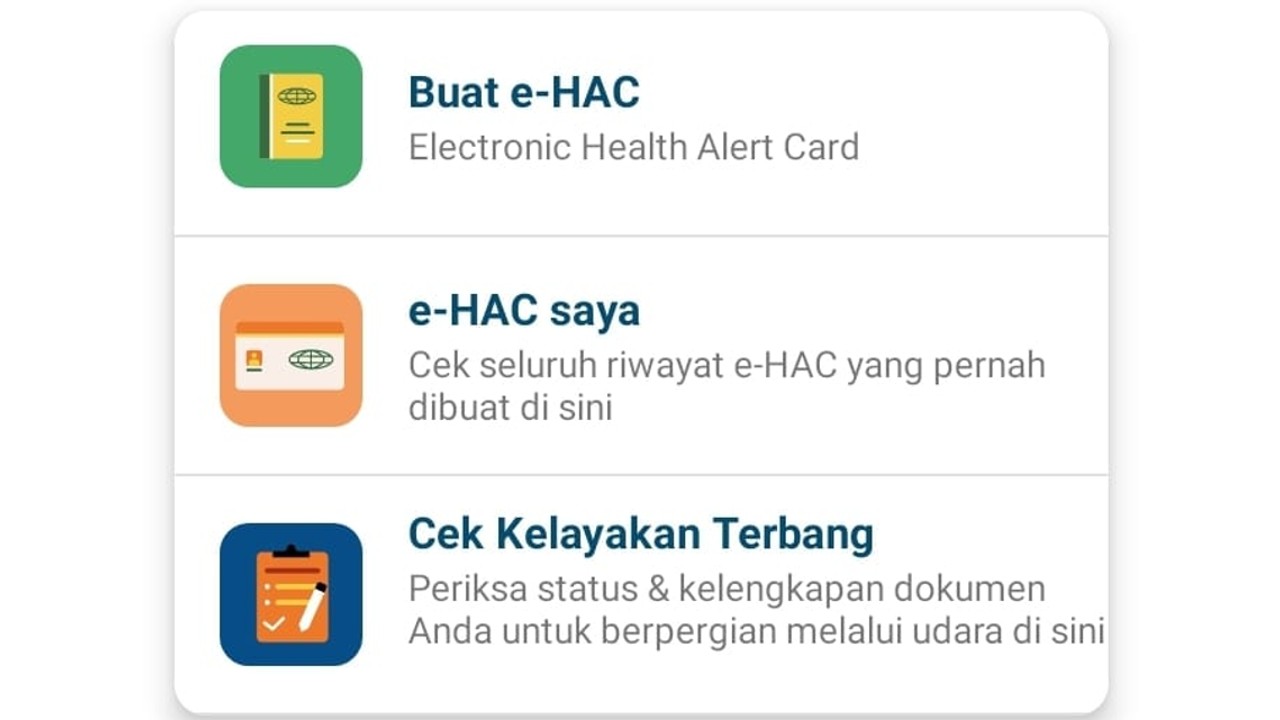 e-HAC jadi syarat mudik naik pesawat.