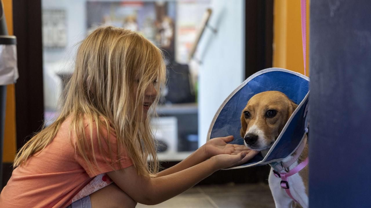 Dok/Italy 24 News English