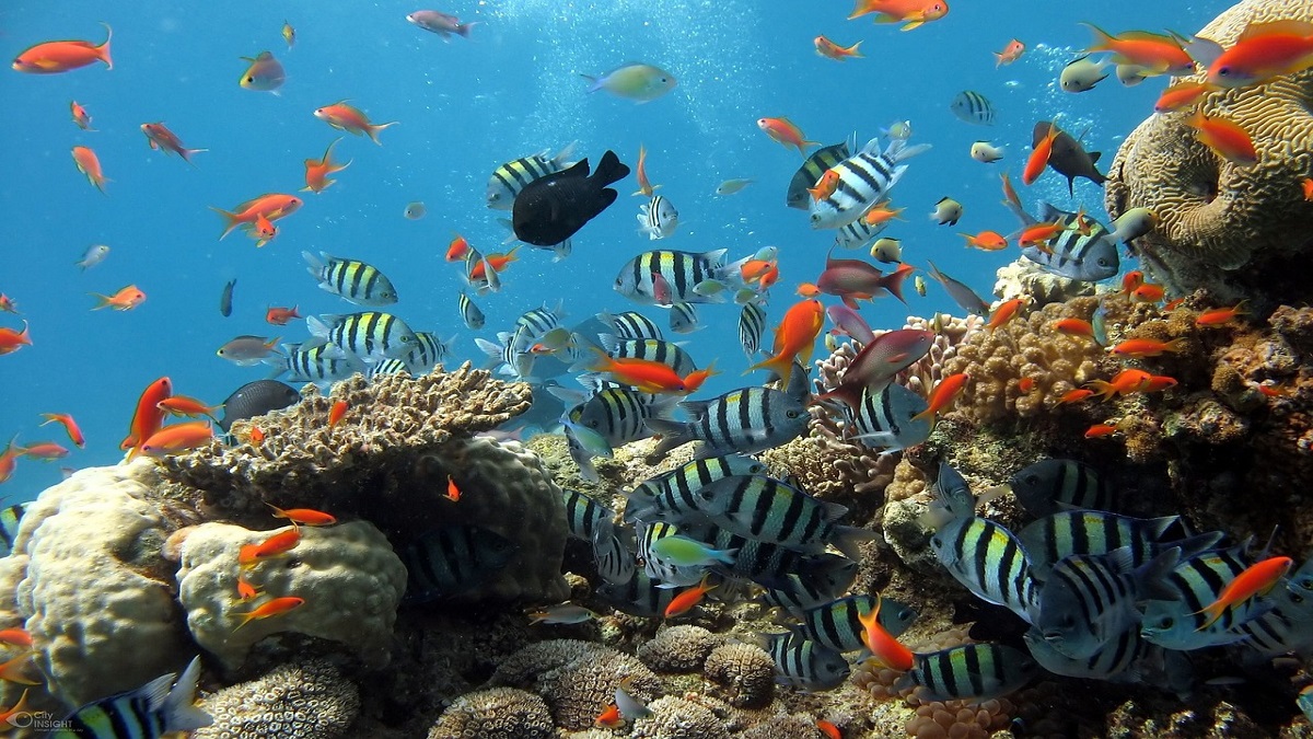 Image by visa vietnam from Pixabay