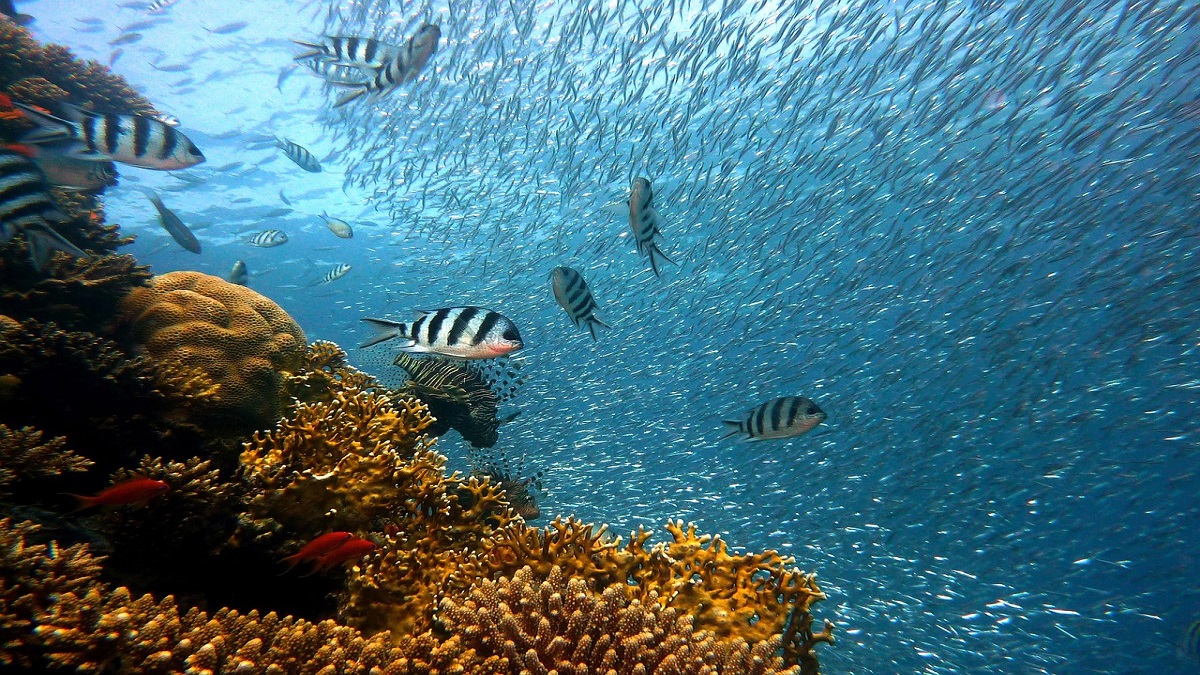 Image by joakant from Pixabay
