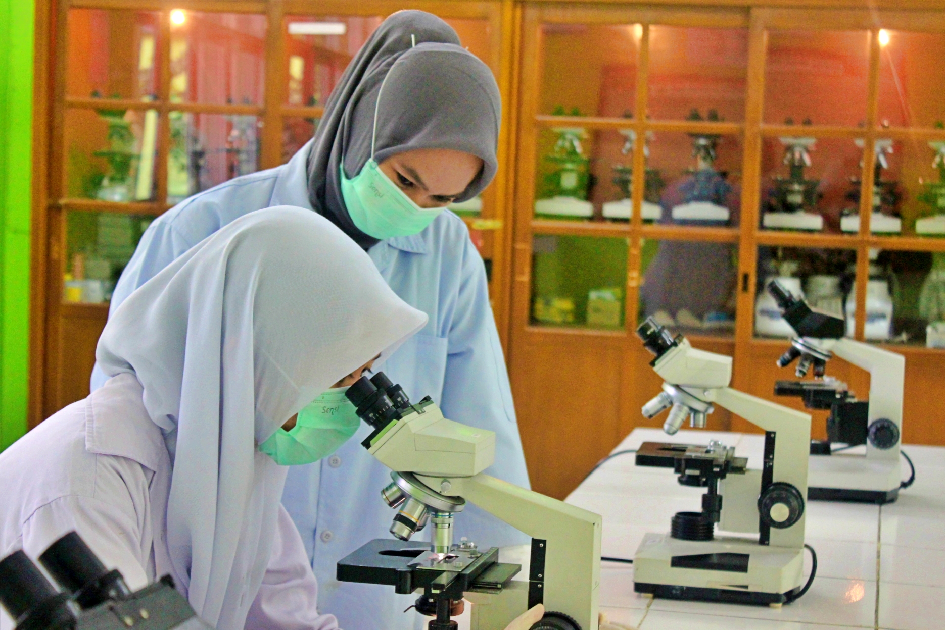 Beasiswa industri kelapa sawit