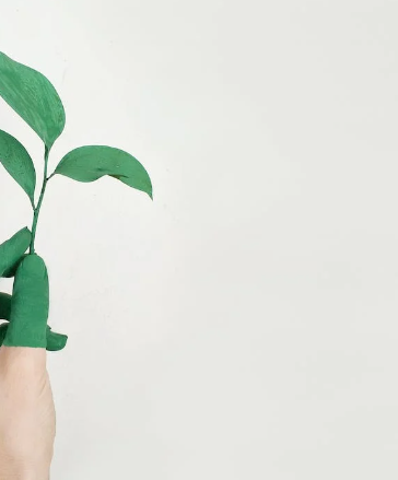 Ilustrasi demi penuhi green job, Prakerja sediakan pelatihan green skills. (Pexels)
