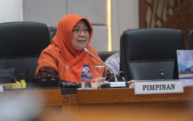 Wakil Ketua Komisi IX DPR RI Kurniasih Mufidayati (dpr.go.id)